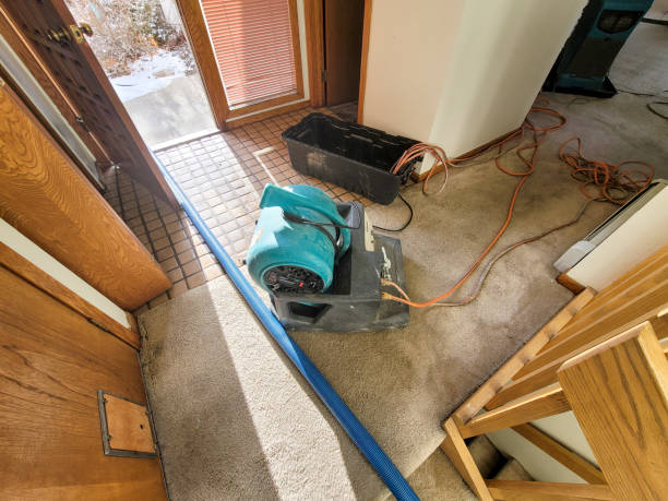 Best Flooded house restoration  in Essexville, MI