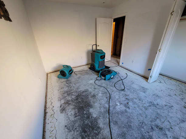 Best Flood damage cleanup  in Essexville, MI