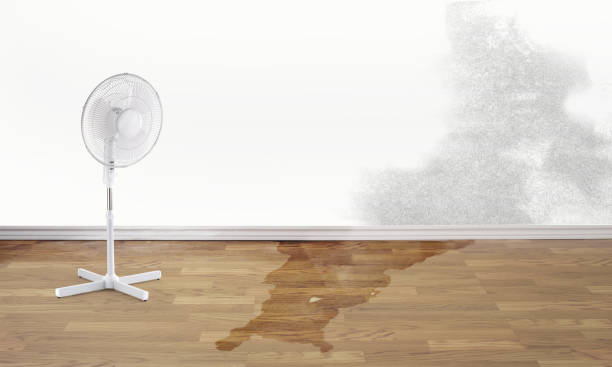 Best 24-hour water damage restoration  in Essexville, MI