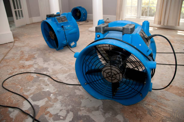  Essexville, MI Water damage restoration Pros