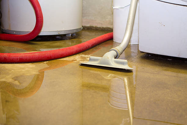 Best Residential water damage restoration  in Essexville, MI