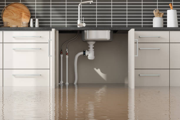 Best Water damage contractors near me  in Essexville, MI
