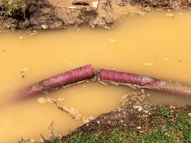 Best Professional water damage repair  in Essexville, MI