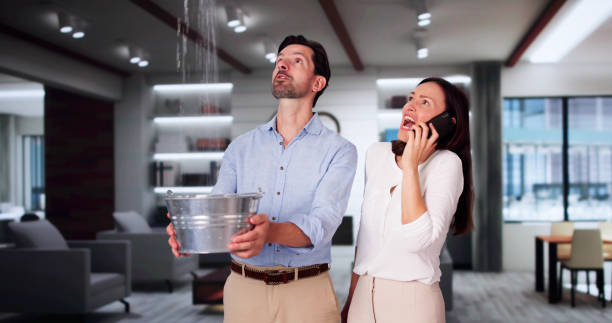 Best Flood damage cleanup  in Essexville, MI