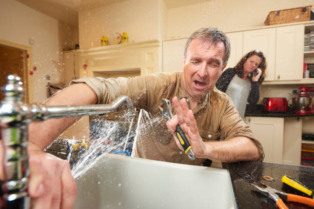 Best Professional water damage repair  in Essexville, MI